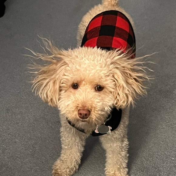 Meet your Posher, Heather - Picture 1 of 2